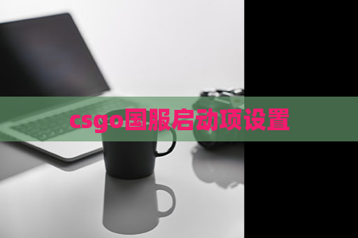 csgo国服启动项设置