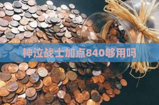 神泣战士加点840够用吗